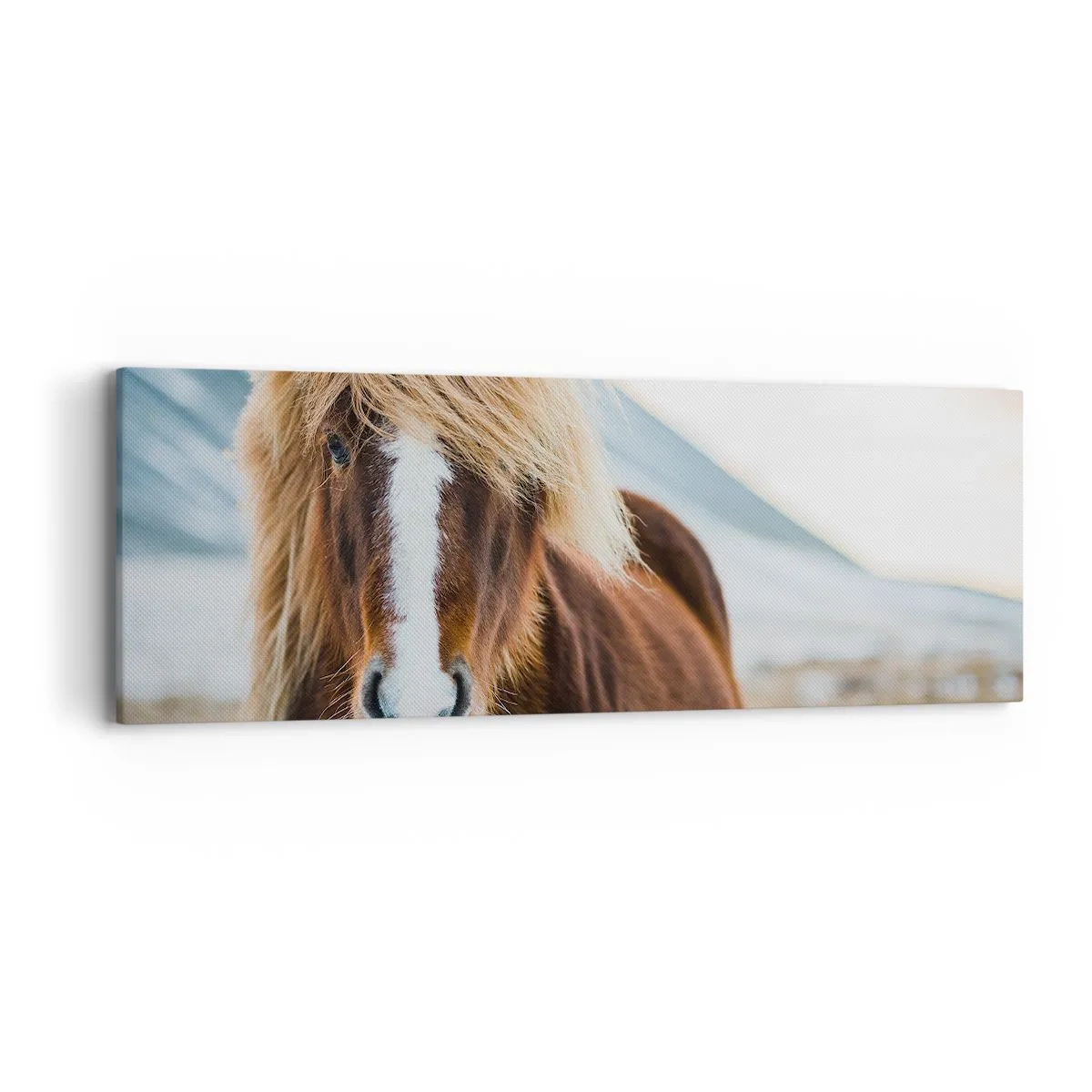 Lærredstryk - Billede på lærred - Kan du mærke friheden? - 90x30 cm