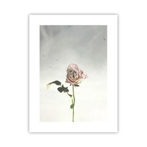 Plakat - Velkomst til foråret - 30x40 cm