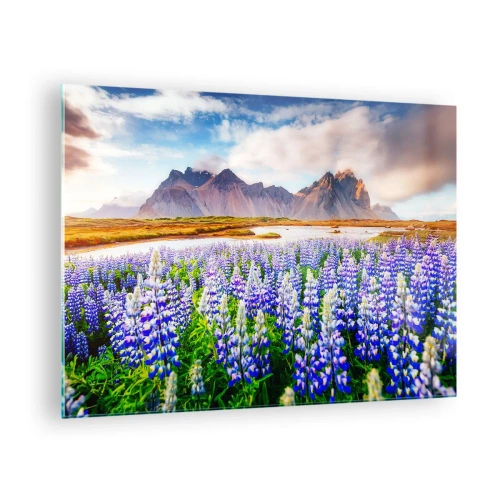 Billede på glas - Et bjerglandskab med en blomstrende eng og majestætiske tinder - 70x50cm - Styrke og strenghed ved siden af blidhed - Moderne vægdekoration til stue og soveværelse ARTTOR