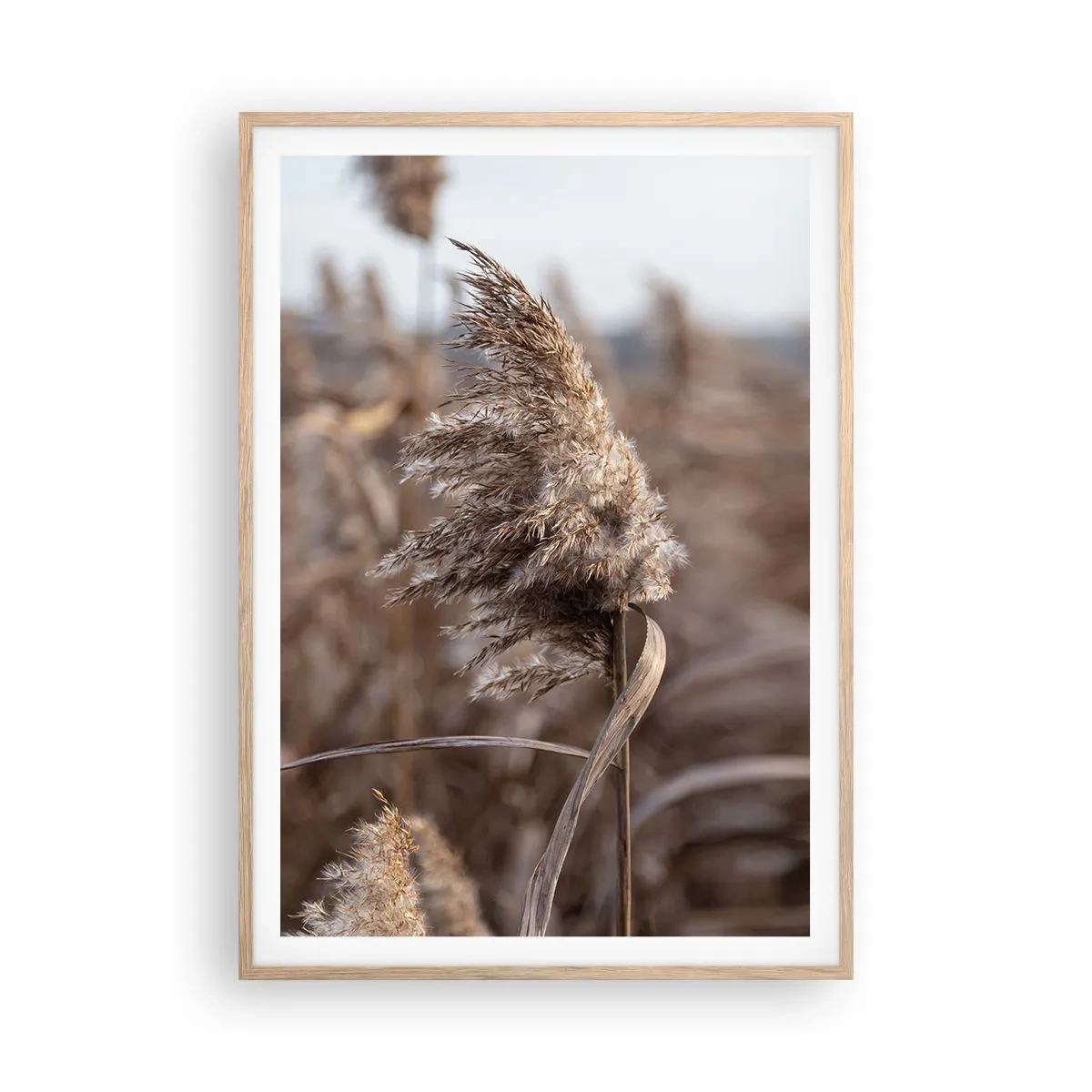 Plakat i ramme af lyst egetræ - Tid til at flyve væk med vinden - 70x100 cm