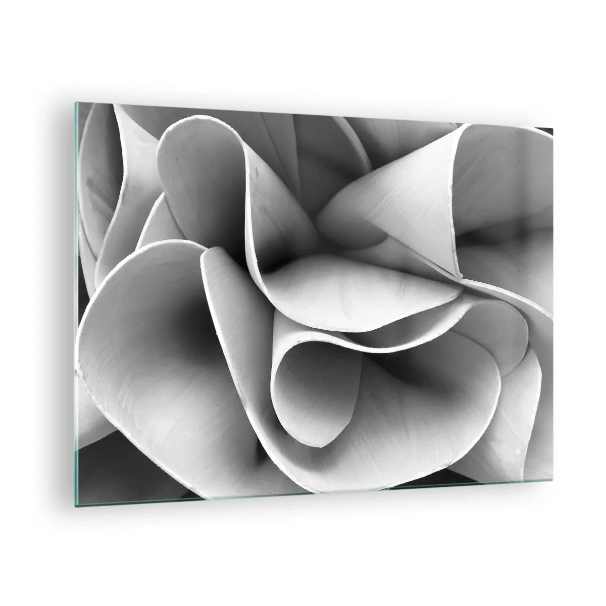 Billede på glas - Sort-hvid nærbillede af abstrakte spiralformer - 70x50cm - Hvad der sker i rummet - Moderne vægdekoration til stue og soveværelse ARTTOR