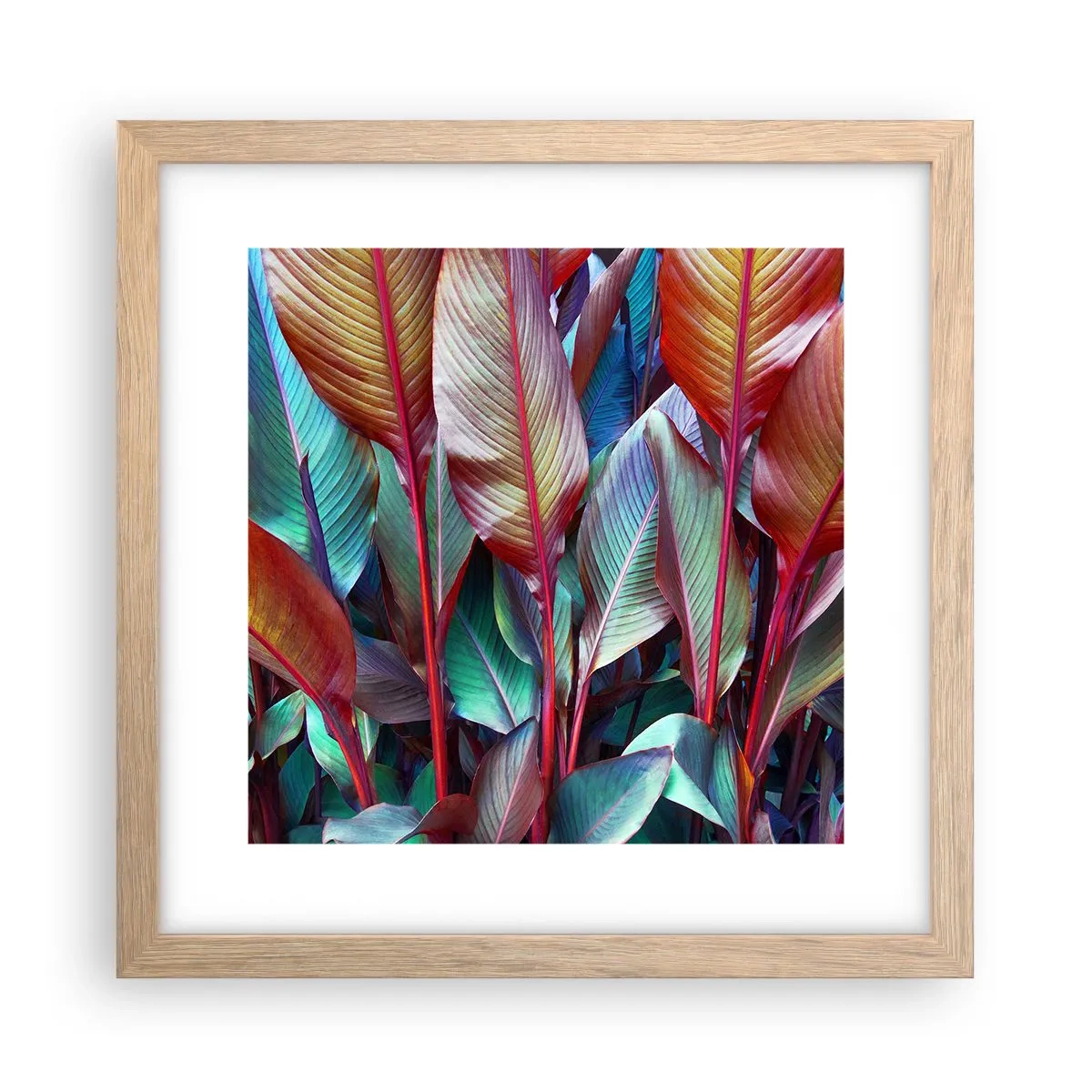 Plakat i ramme af lyst egetræ - Farverigt krat - 30x30 cm