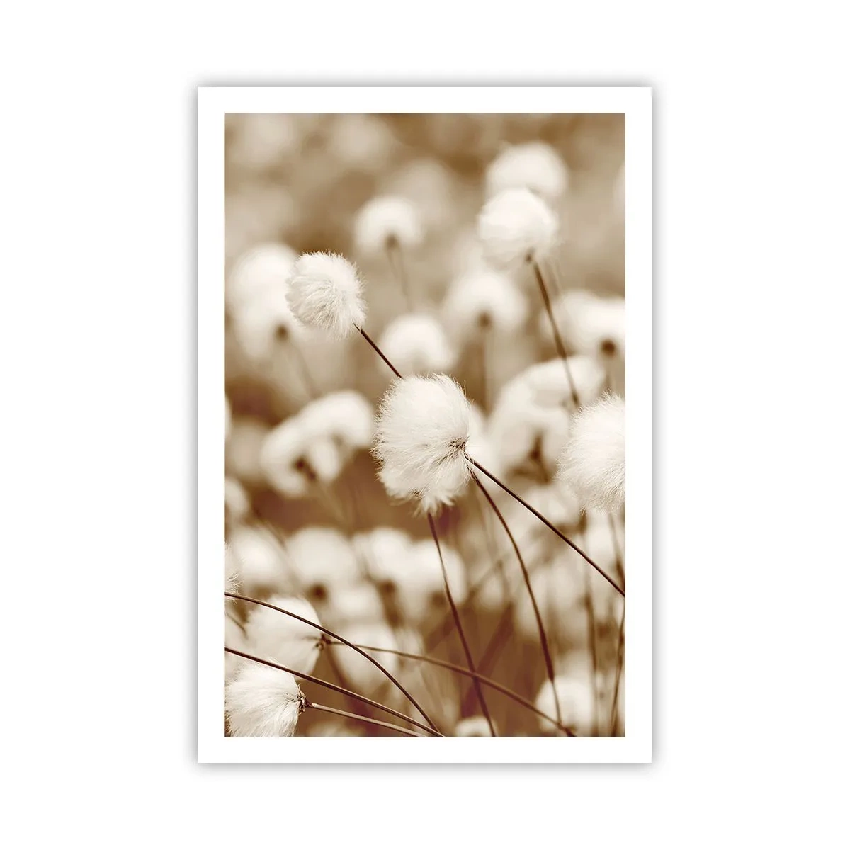 Plakat - Fyldig mark - 61x91 cm