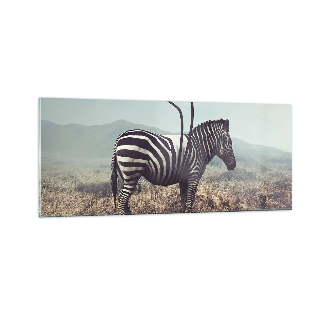 Billede på glas - OBS! Fejl - 100x40 cm