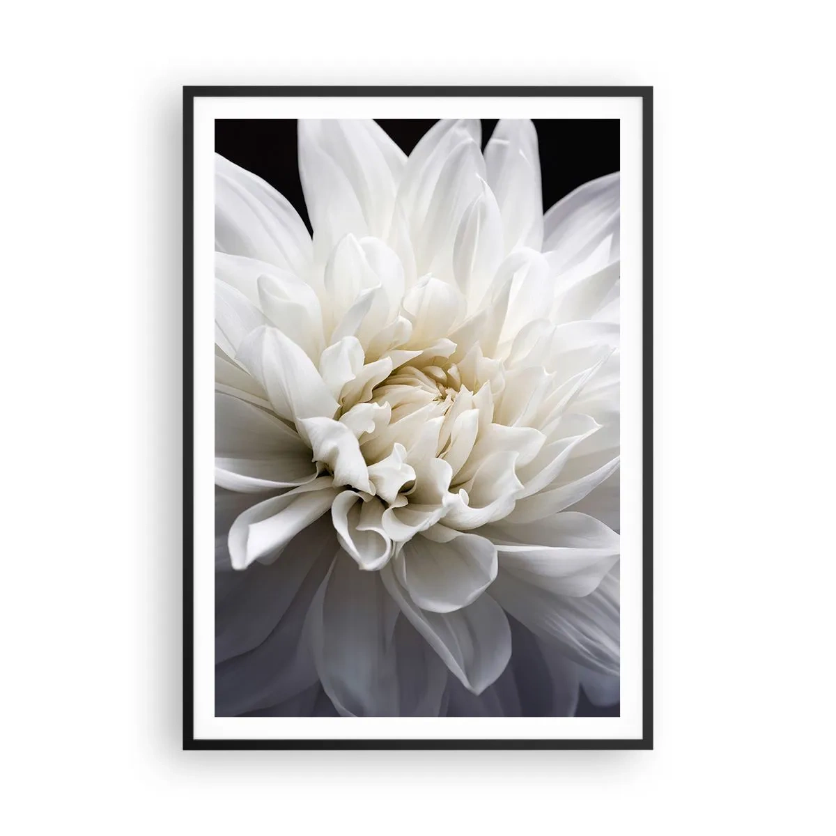 Plakat i sort ramme - Morgenbrud - 70x100 cm