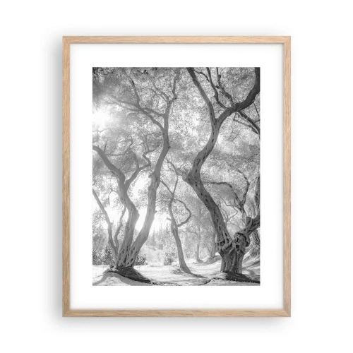 Plakat i ramme af lyst egetræ - I en olivenlund - 40x50 cm