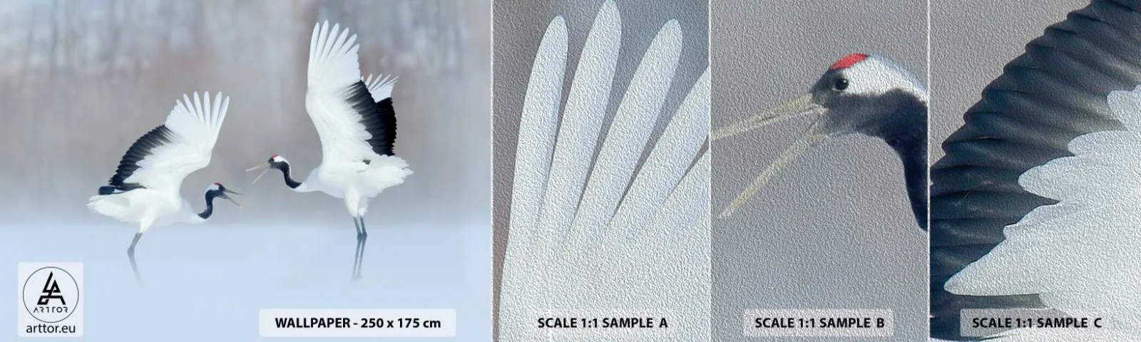 Prøve Fototapet Premium Sand - Danser i tågen - Vinter, Fugl, Natur - 100x30 cm