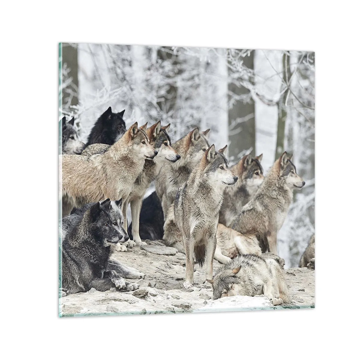 Billede på glas - Familie og venner - 70x70 cm