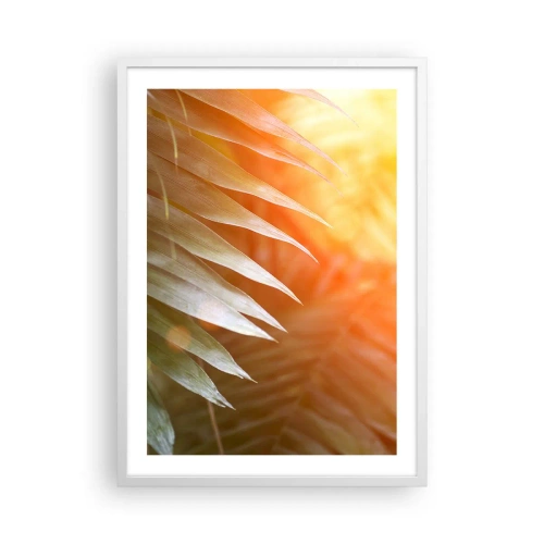 Plakat i hvid ramme - Morgen i junglen - 50x70 cm