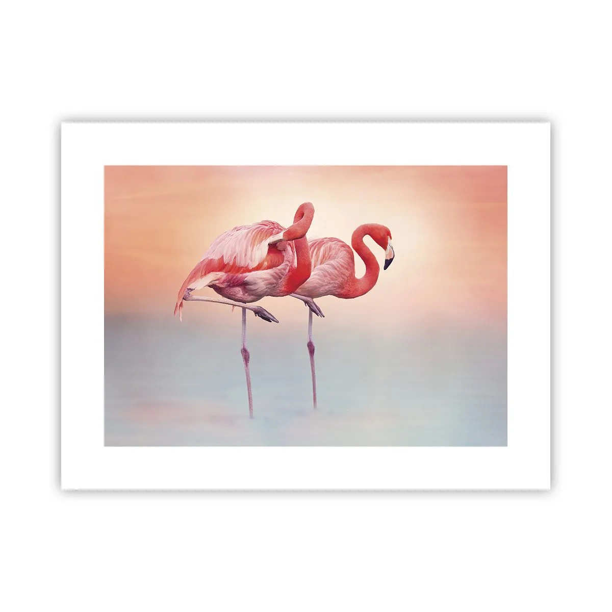 Plakat - I farven af den nedgående sol - 40x30 cm