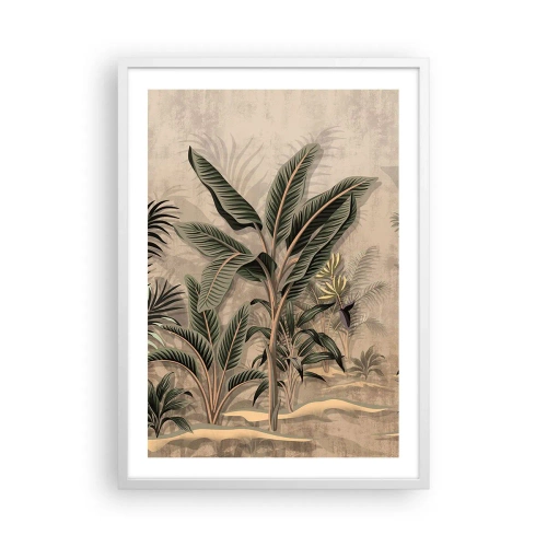 Plakat i hvid ramme - Gravering i kolonistil - 50x70 cm