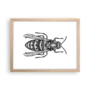 Plakat i ramme af lyst egetræ - Fra en insektplanet - 40x30 cm
