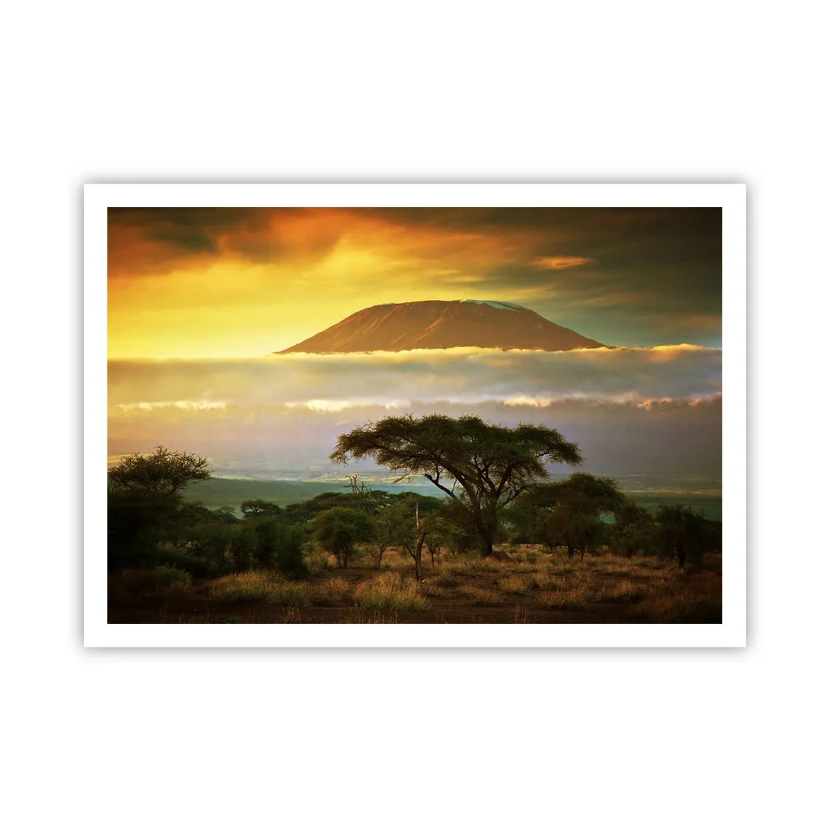 Plakat - En rejsendes drøm - 100x70 cm