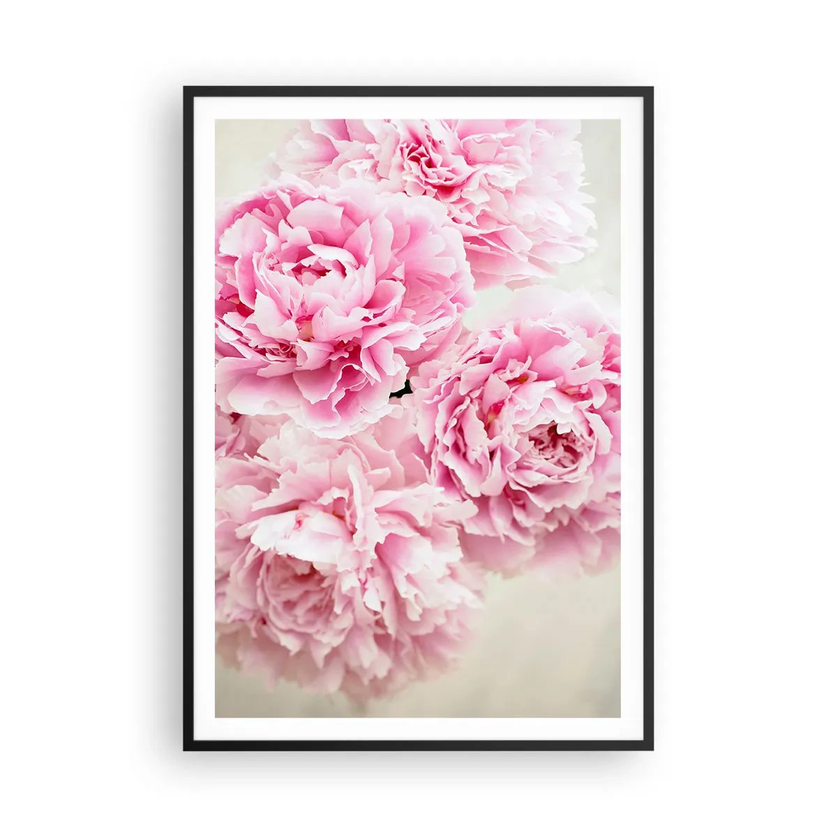 Plakat i sort ramme - I lyserød glamour - 70x100 cm