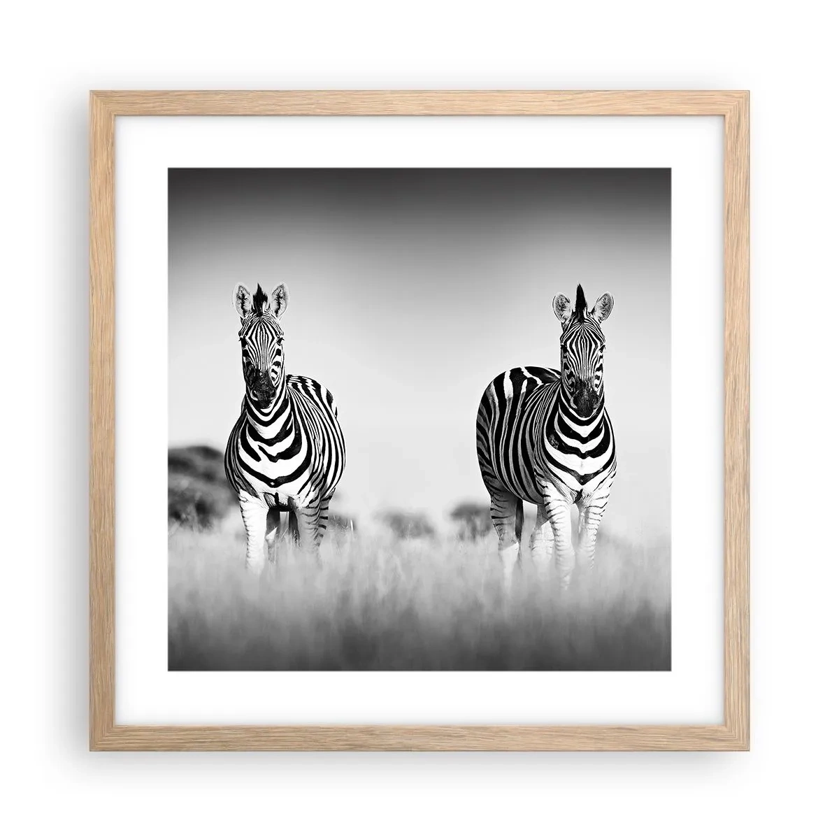Plakat i ramme af lyst egetræ - Og alligevel er verden sort og hvid - 40x40 cm