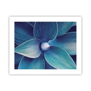 Plakat - Blå fra himlen - 50x40 cm