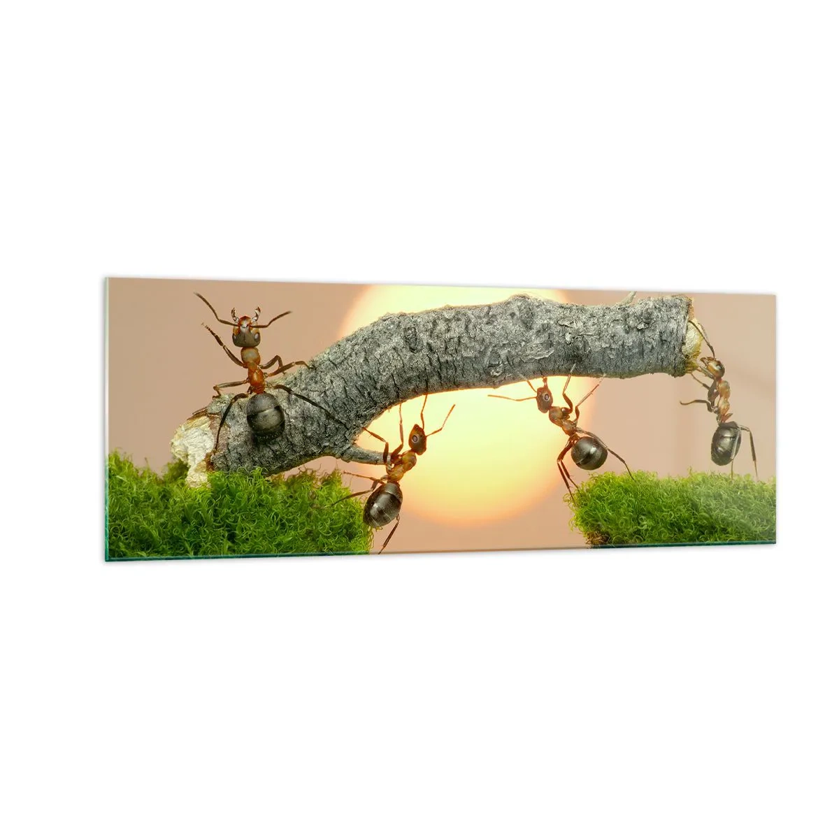 Billede på glas - Glædeligt, fælles arbejde - 140x50 cm