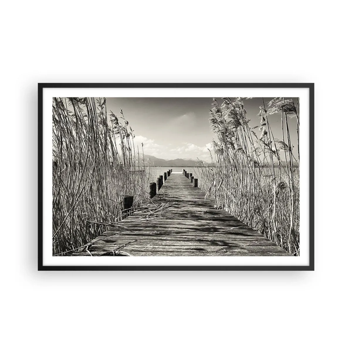 Plakat i sort ramme - I græssernes fred - 91x61 cm