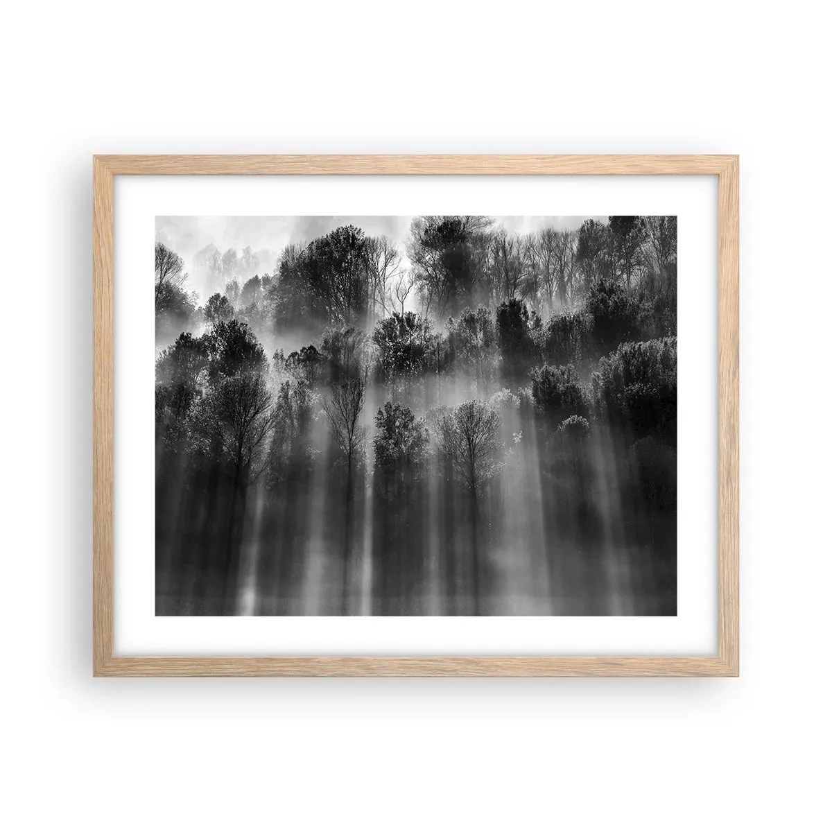 Plakat i ramme af lyst egetræ - I stråler af lys - 50x40 cm