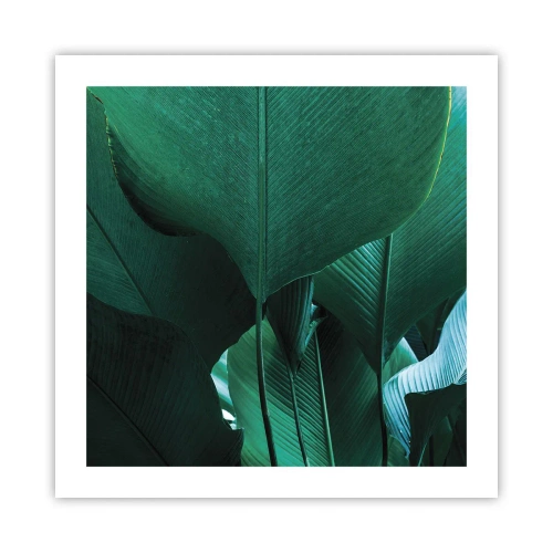 Plakat - Mod lyset - 50x50 cm