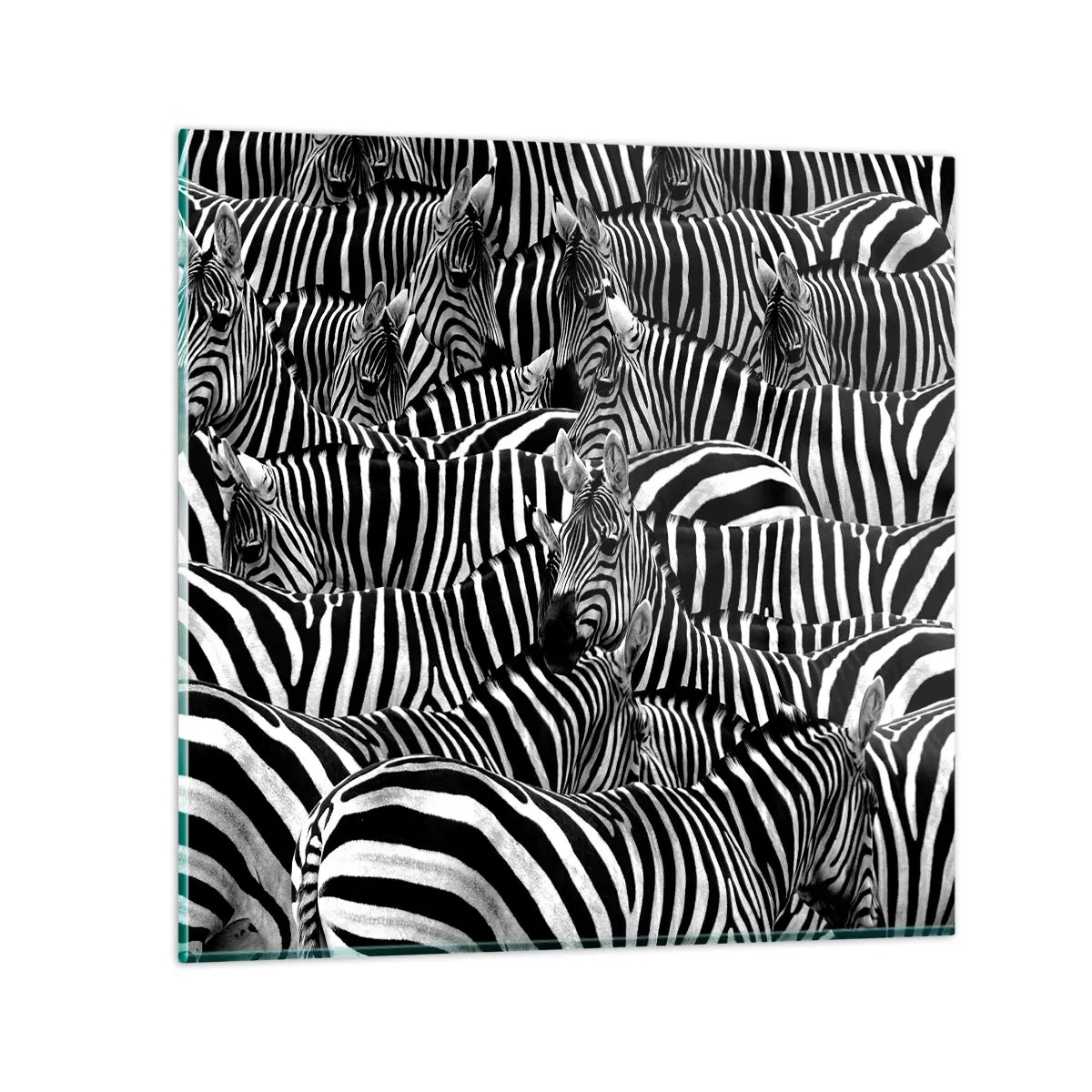 Billede på glas - Stribet gruppeportræt - 40x40 cm