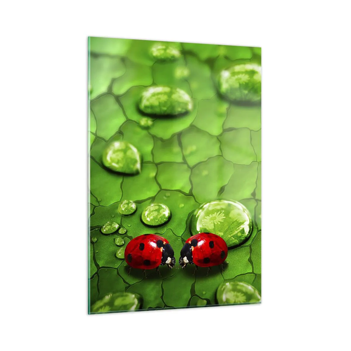 Billede på glas - Møde i det grønne - 50x70 cm