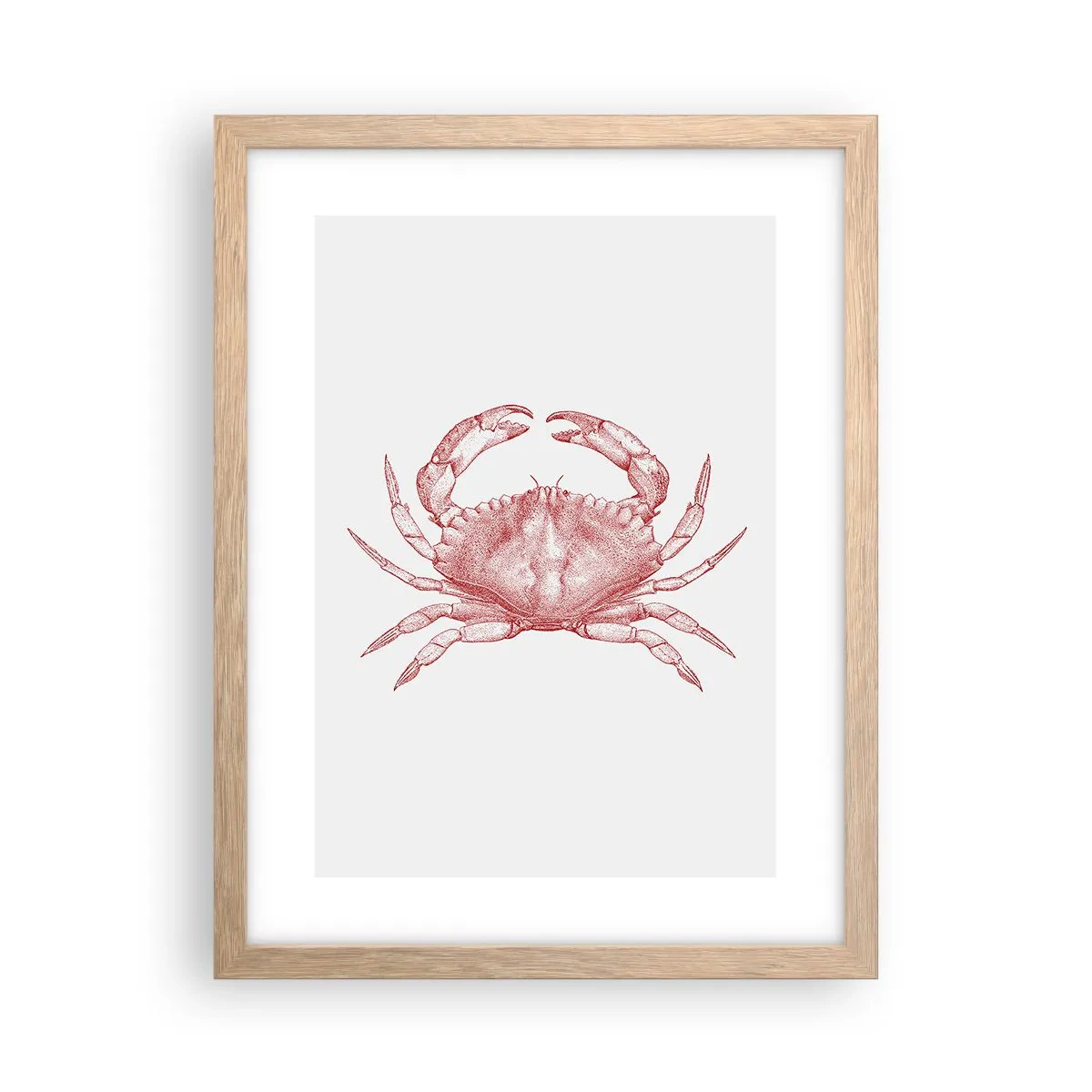 Plakat i ramme af lyst egetræ - Krabbe over krabber - 30x40 cm