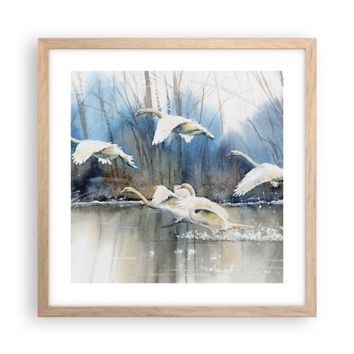 Plakat i ramme af lyst egetræ - Som i en fortælling om vilde svaner - 40x40 cm