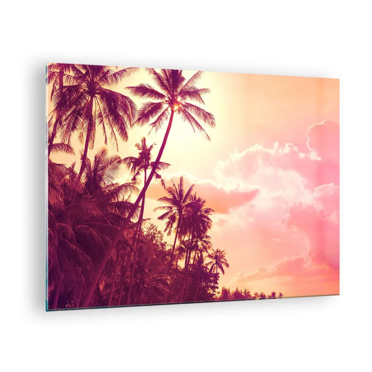 Billede på glas - Tropiske palmer i lyset af den nedgående sol mod en lyserød himmel - 70x50cm - Du skal vælge - Moderne vægdekoration til stue og soveværelse ARTTOR