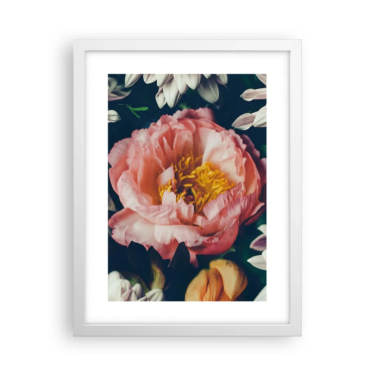 Plakat i hvid ramme - Med barok pragt - 30x40 cm