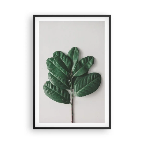 Plakat i sort ramme - Tegning af selve naturen - 61x91 cm