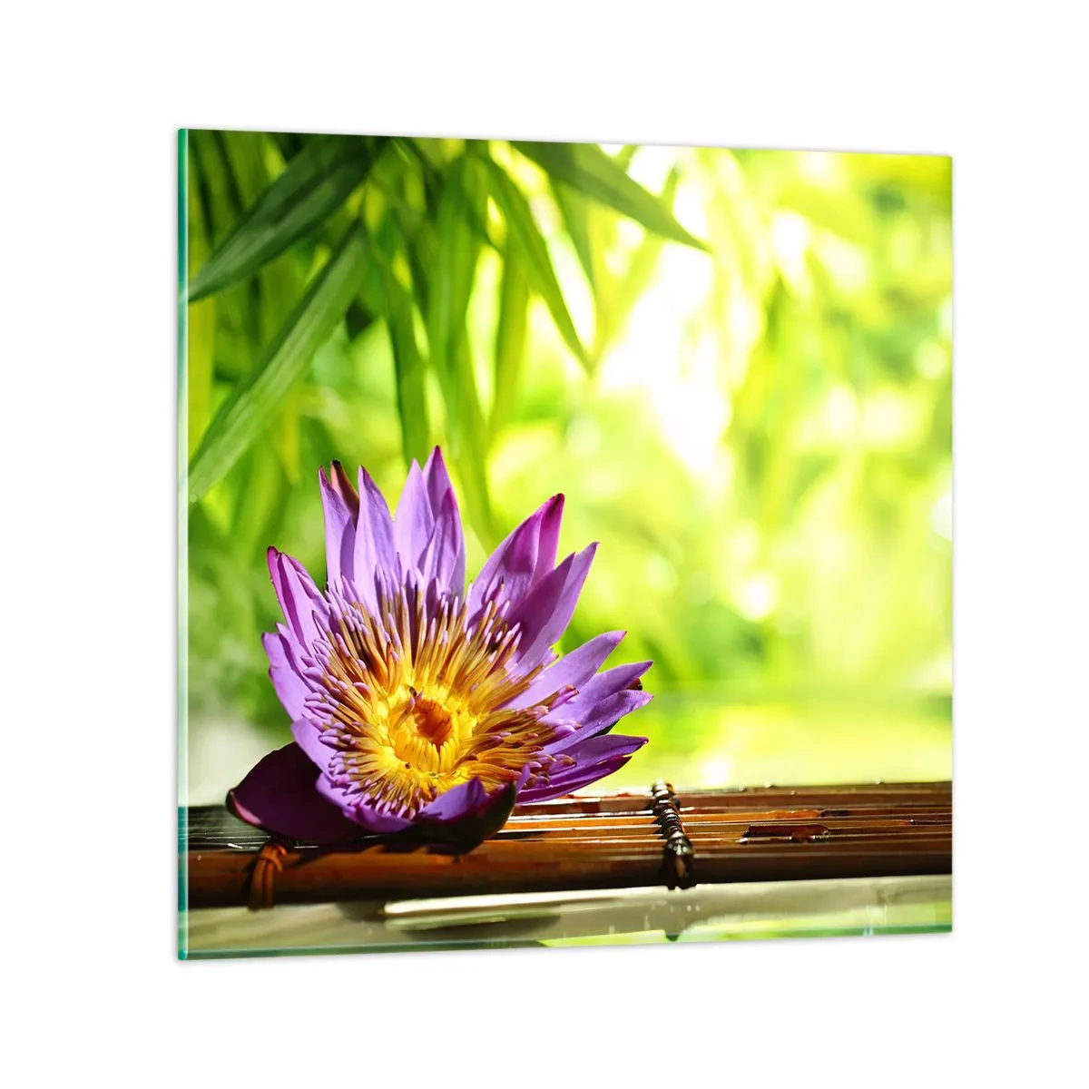 Billede på glas - I det asiatiske solskin - 60x60 cm