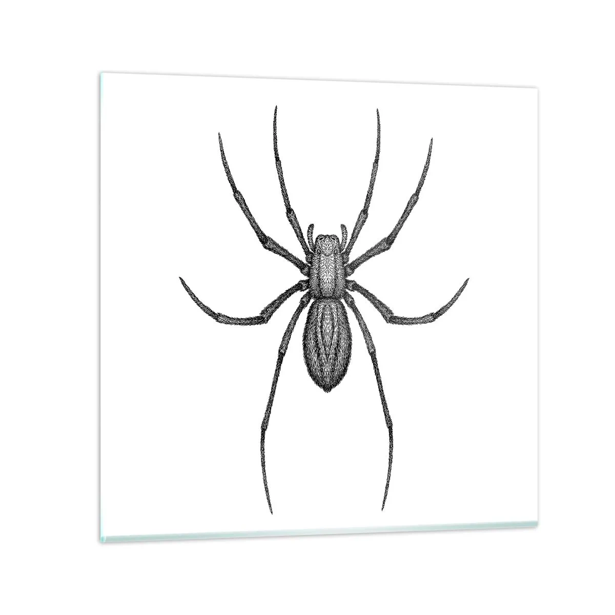 Billede på glas - Foruroligende præcision - 50x50 cm