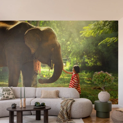 Fototapet Standard Eco - Venskabets kraft - Dyr, Elefant, Pige - 250x175 cm