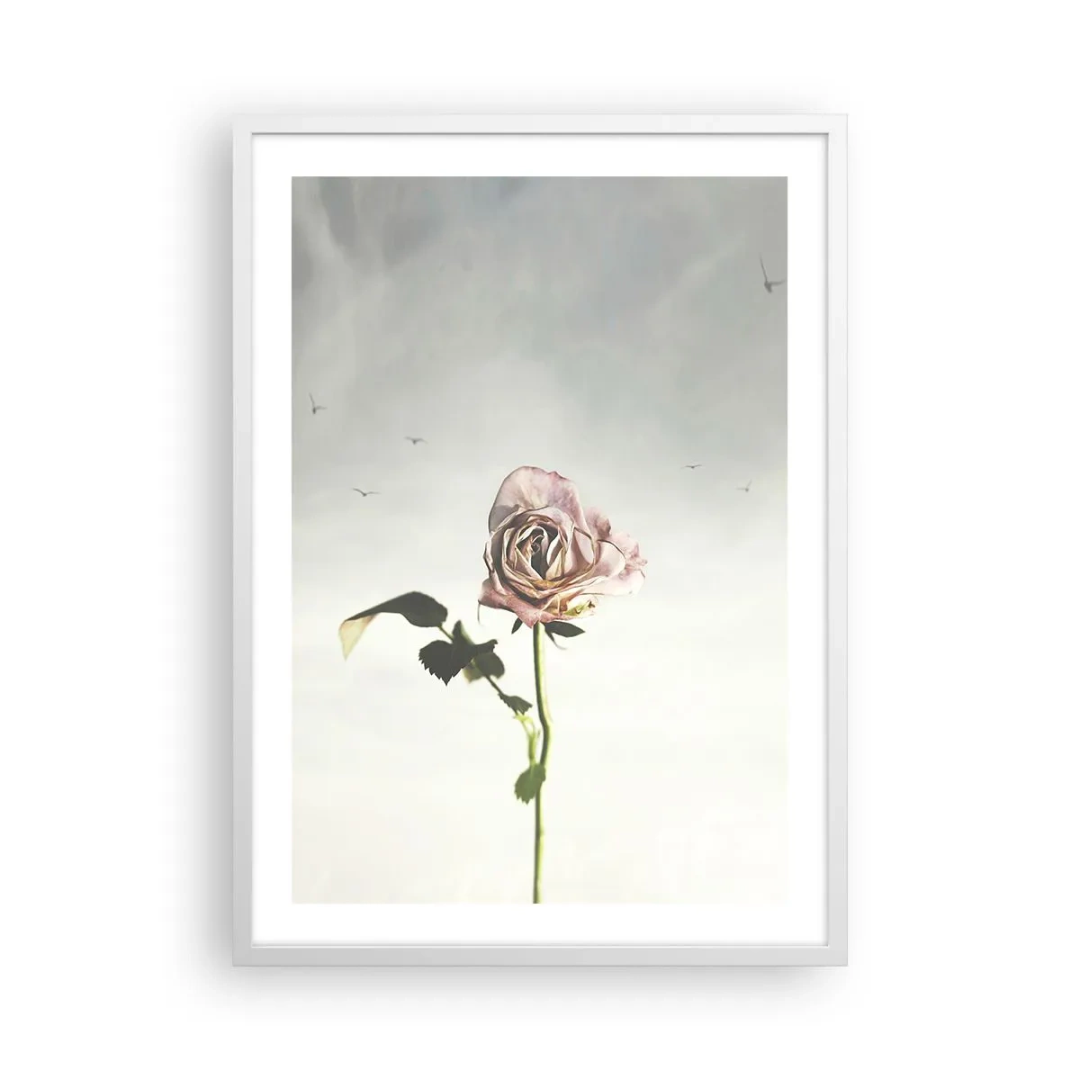 Plakat i hvid ramme - Velkomst til foråret - 50x70 cm