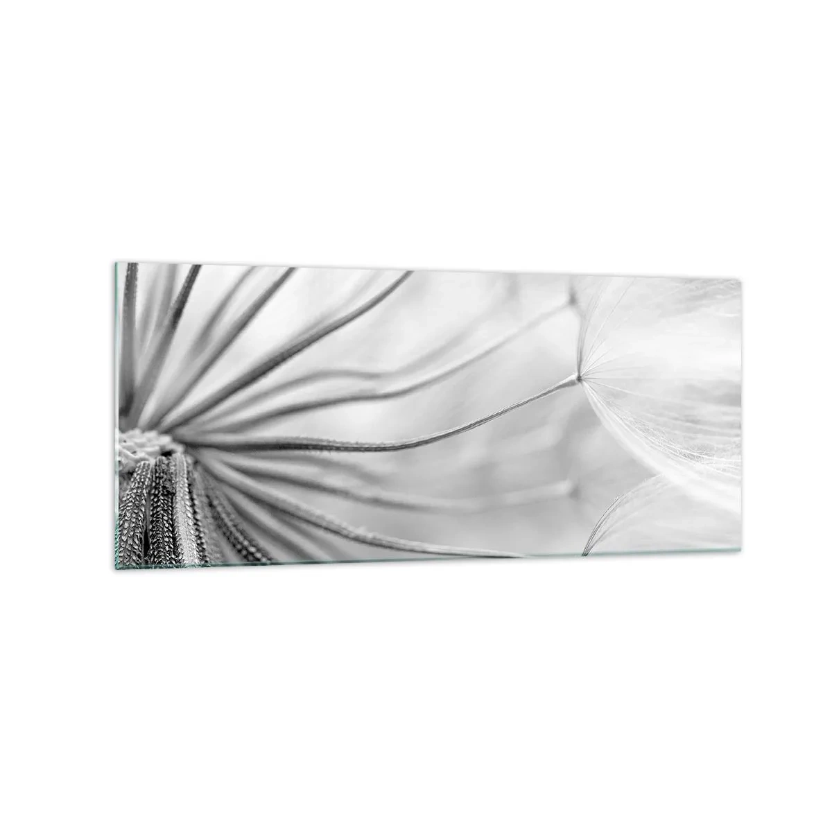 Billede på glas - Blæsende drager - 120x50 cm