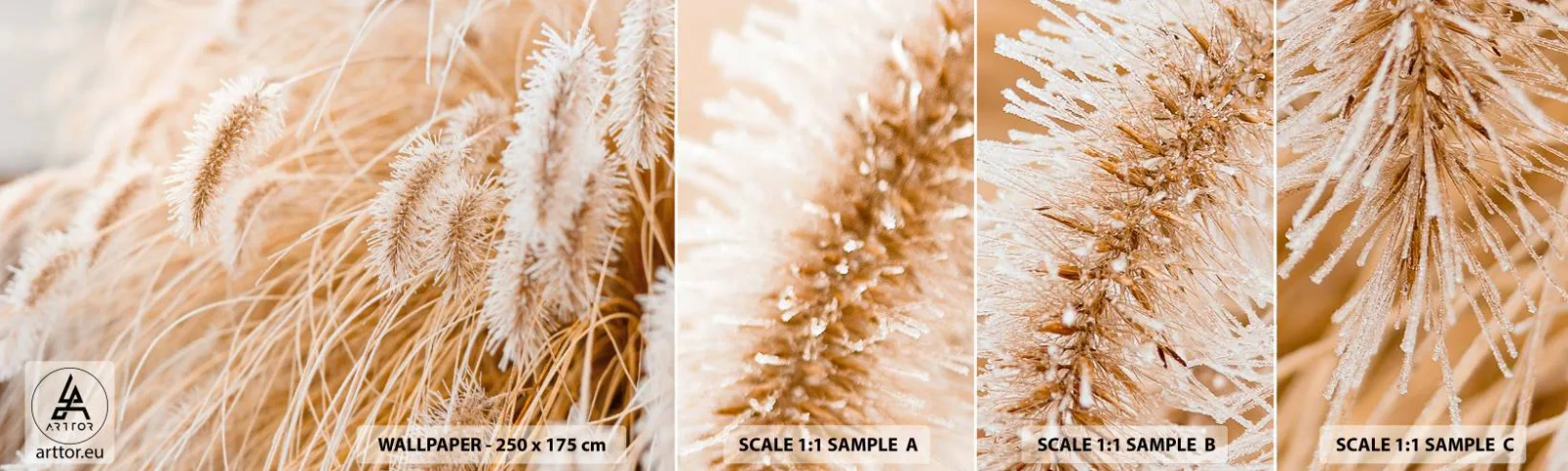 Fototapet Prøve Standard Eco - Gyldent susen af græsser - Pampas græs, Eng, Natur - 100x30 cm