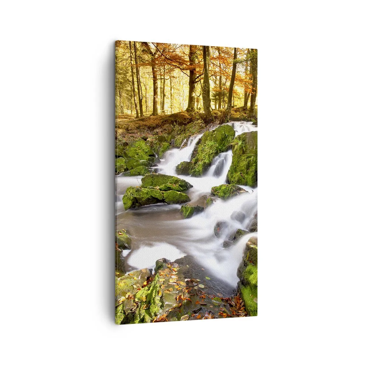 Lærredstryk - Billede på lærred - Bystrøm gennem efterårsskoven - 45x80 cm