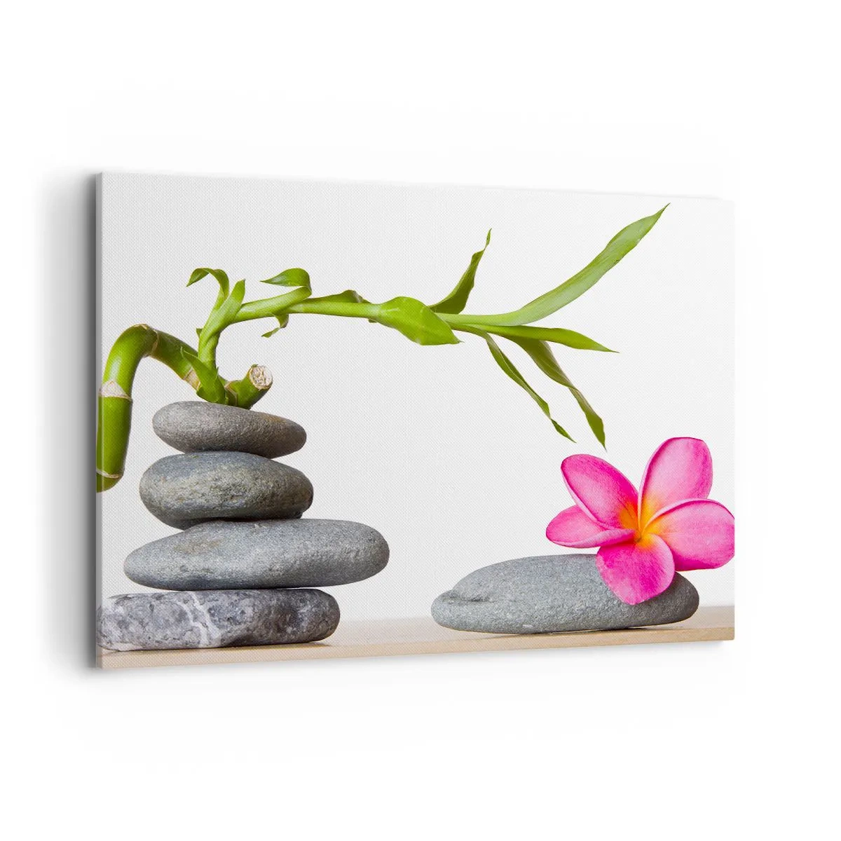 Lærredstryk - Billede på lærred - Livets og varighedens farver - 100x70 cm