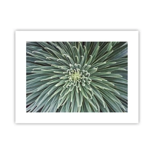 Plakat - En stjernes fødsel - 40x30 cm