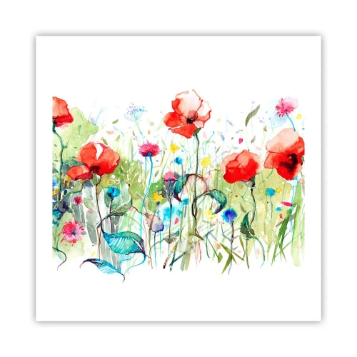 Plakat - En blomstrende eng i maj - 60x60 cm