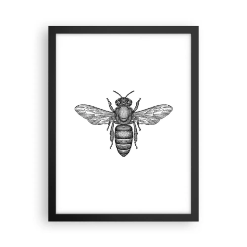 Plakat i sort ramme - Portræt af et insekt - 30x40 cm