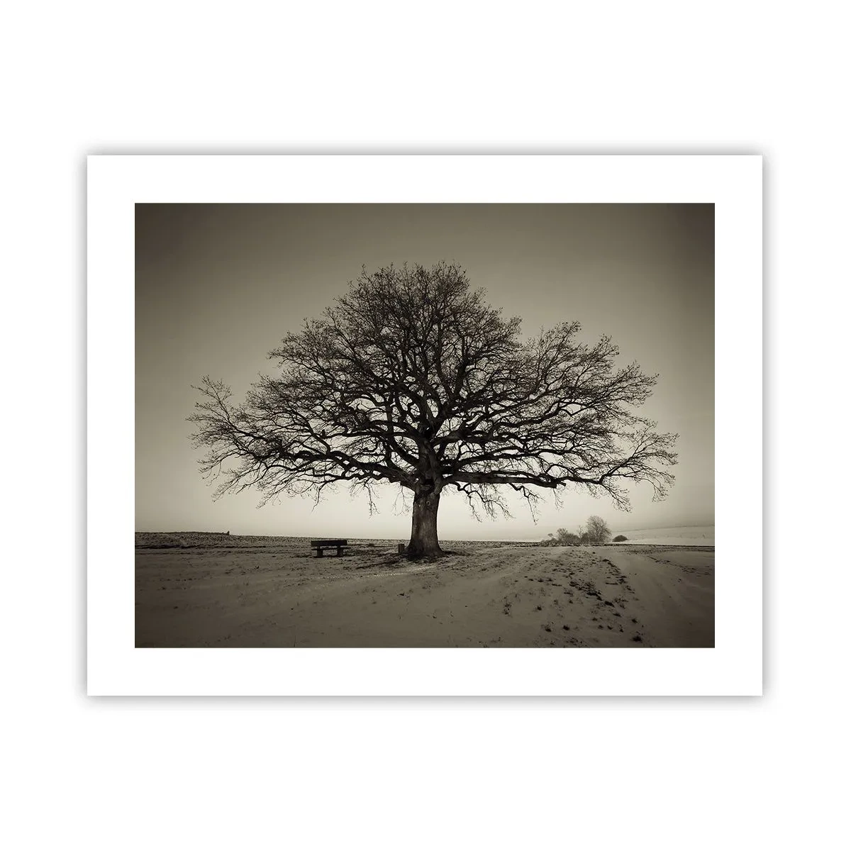 Plakat - Herfra og til evigheden - 50x40 cm