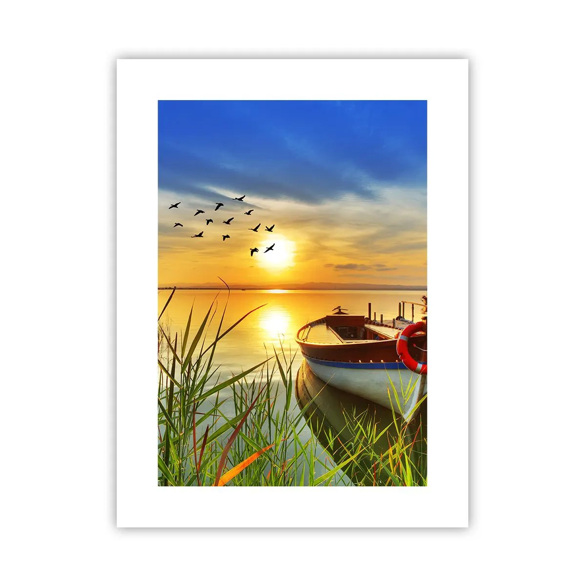 Plakat - Skarverne er allerede på vej væk - 30x40 cm