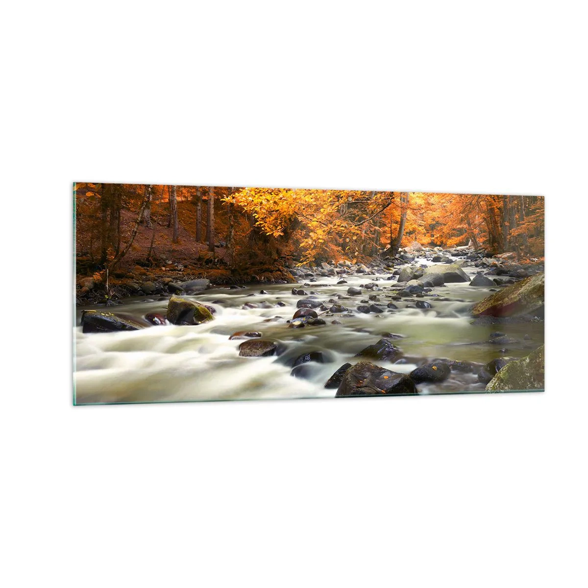 Billede på glas - Et vandløb i den gyldne skov - 100x40 cm