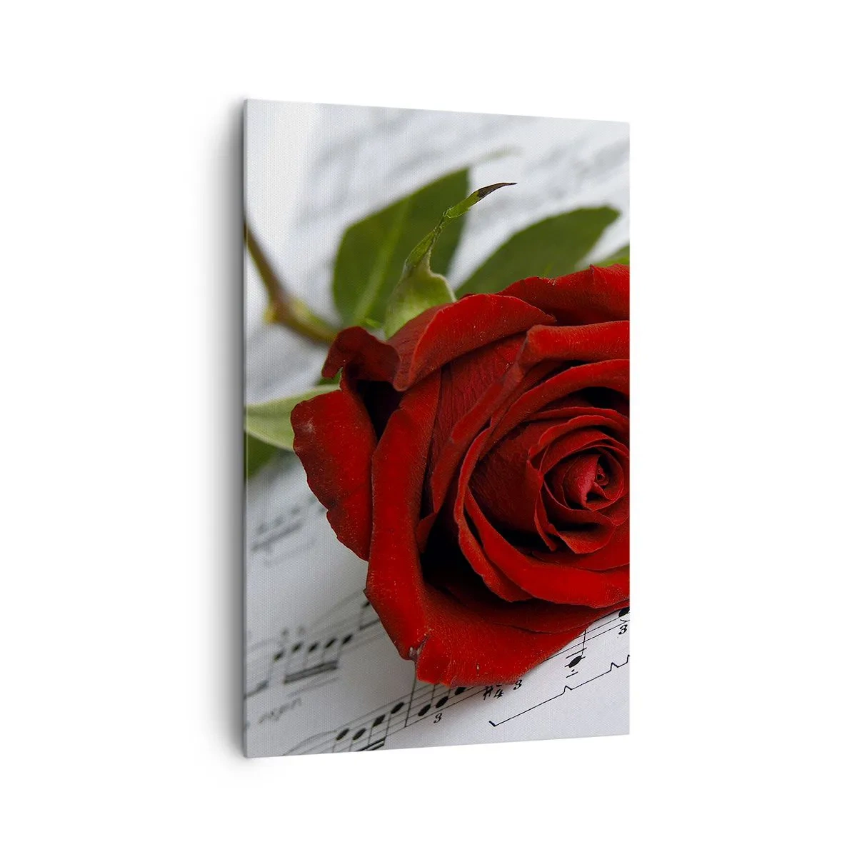 Lærredstryk - Billede på lærred - Musik af følelser i skarlagenrødt - 80x120 cm