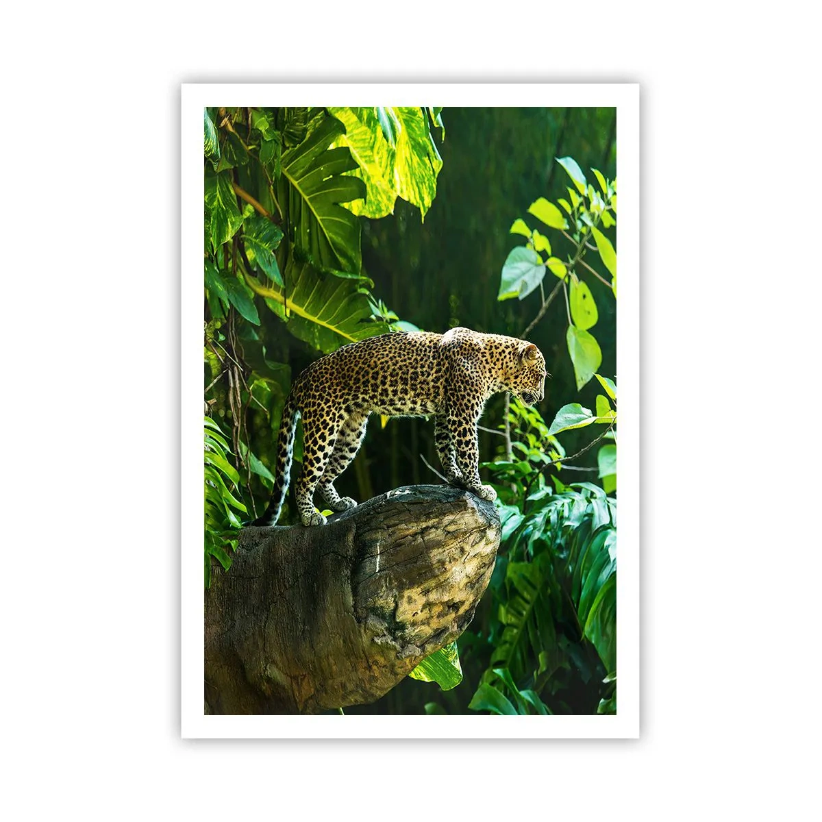 Plakat - Til jagt? - 70x100 cm