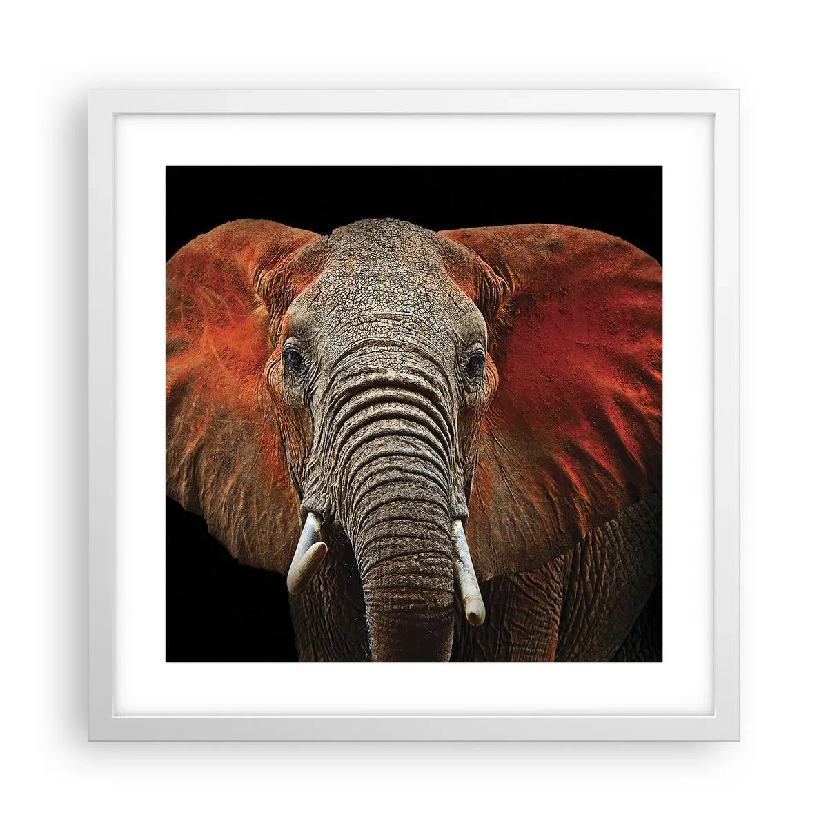 Plakat i hvid ramme - Jeg er vild, er du? - 40x40 cm