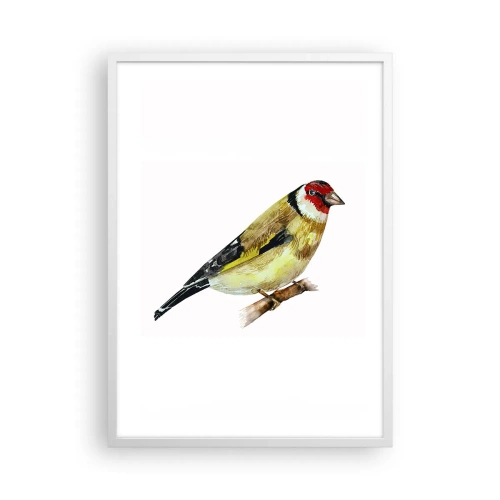 Plakat i hvid ramme - Portræt af en fugl - 50x70 cm