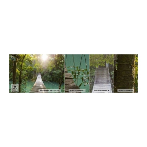 Prøve Fototapet Premium Sand - Over det azurblå vand til den azurblå skov - Landskab, Jungle, træbro - 100x30 cm